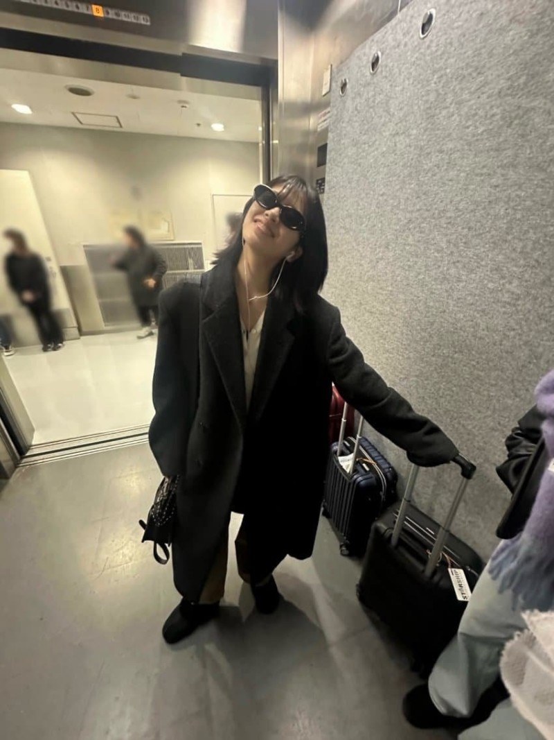 실시간다리다리