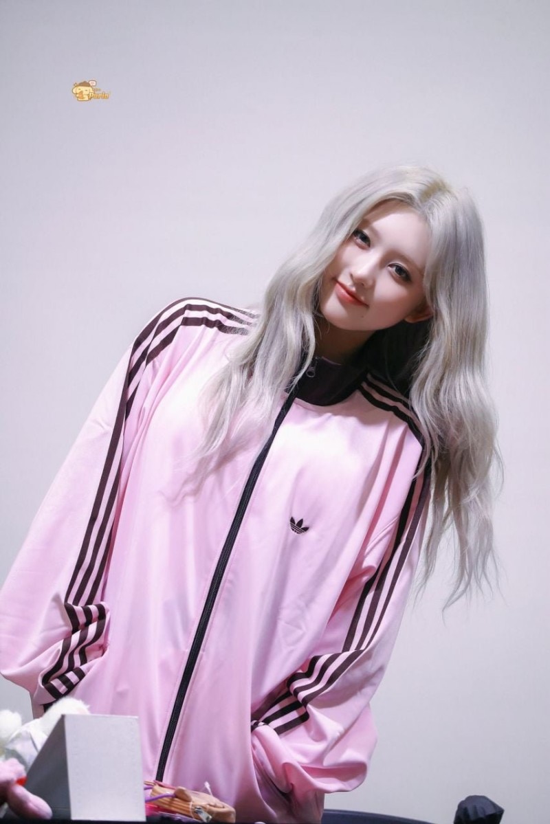 실시간파워볼