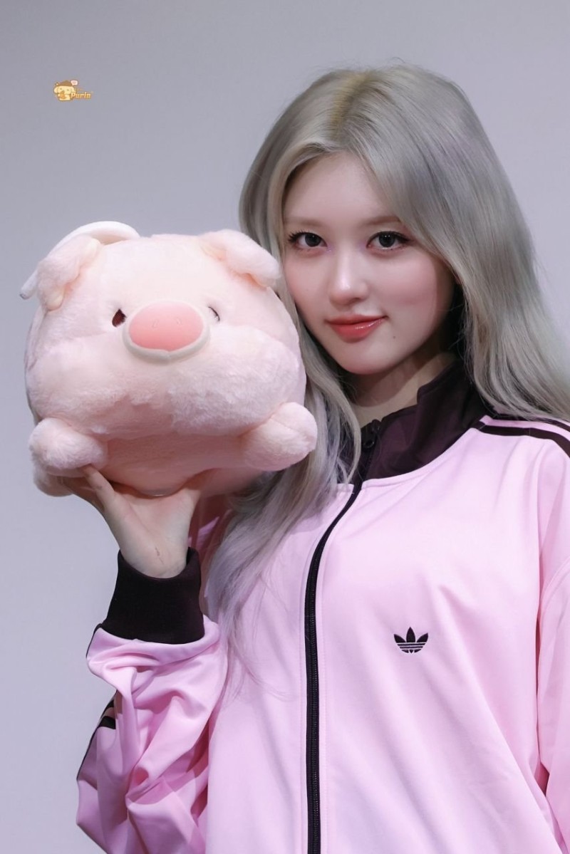 사다리게임픽게임