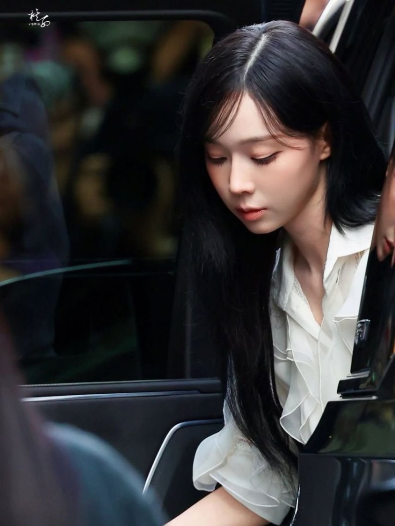 다리다리게임분석기
