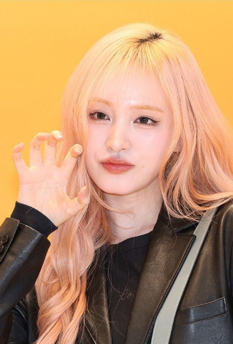 달팽이게임분석기