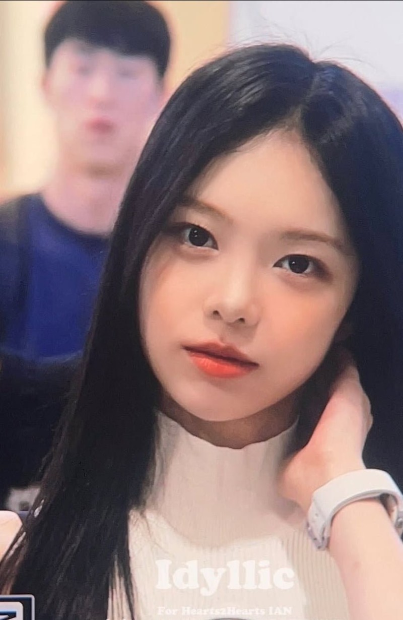 다리다리 분석과 실시간패턴통계