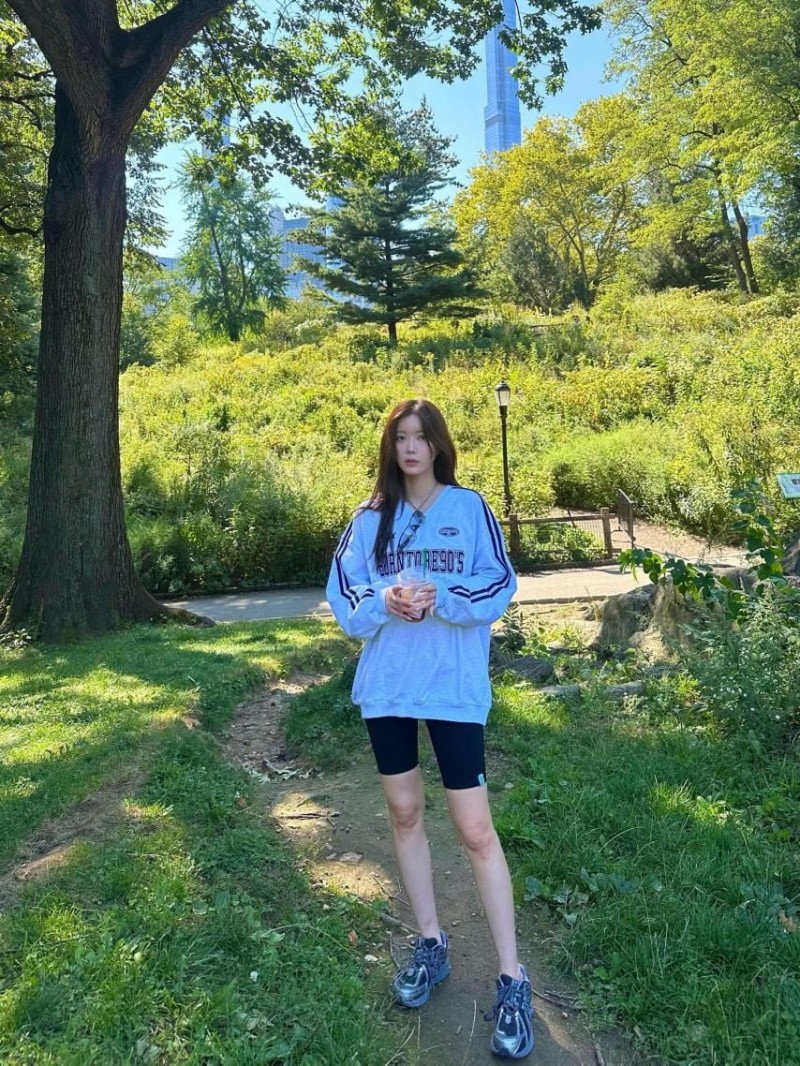 다리다리 분석과 실시간패턴통계