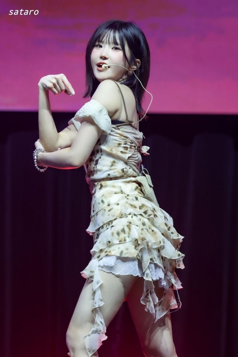 다리다리게임분석기