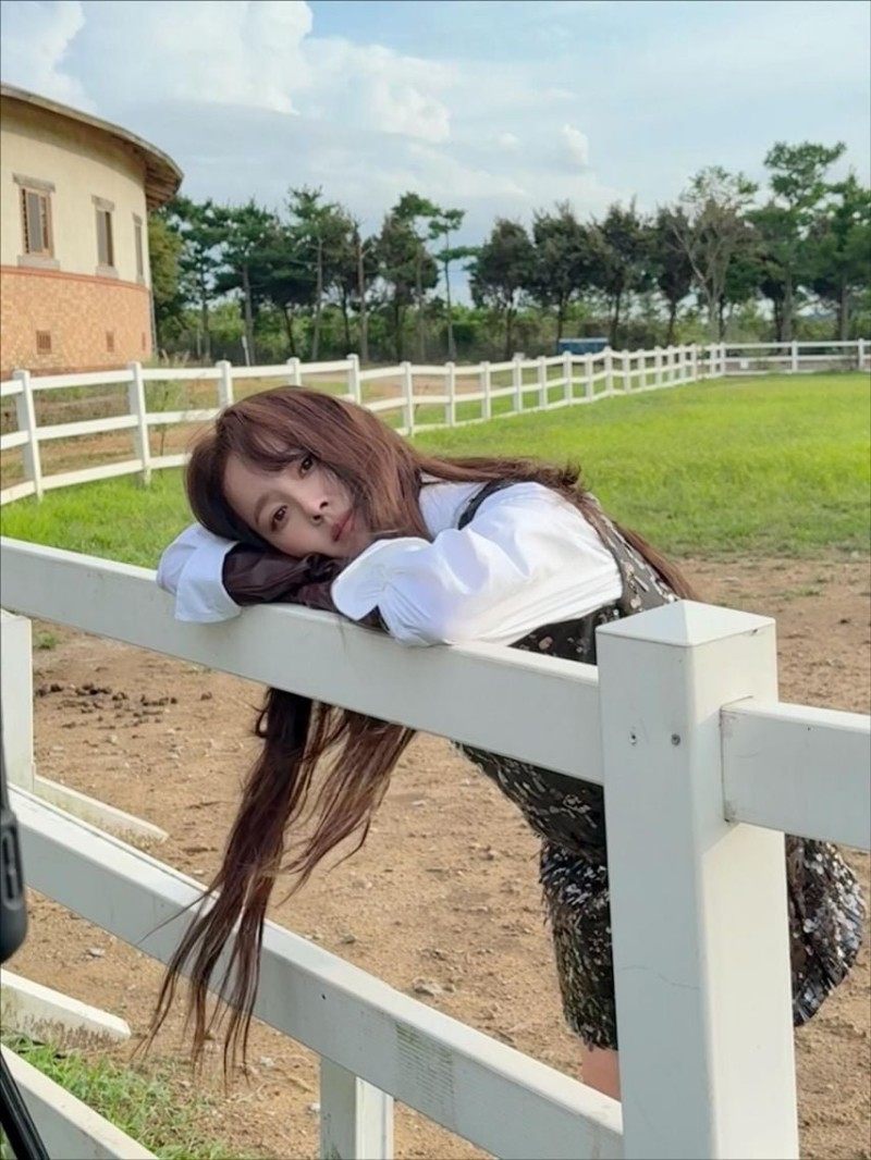 파워볼