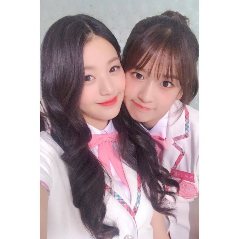 실시간다리다리