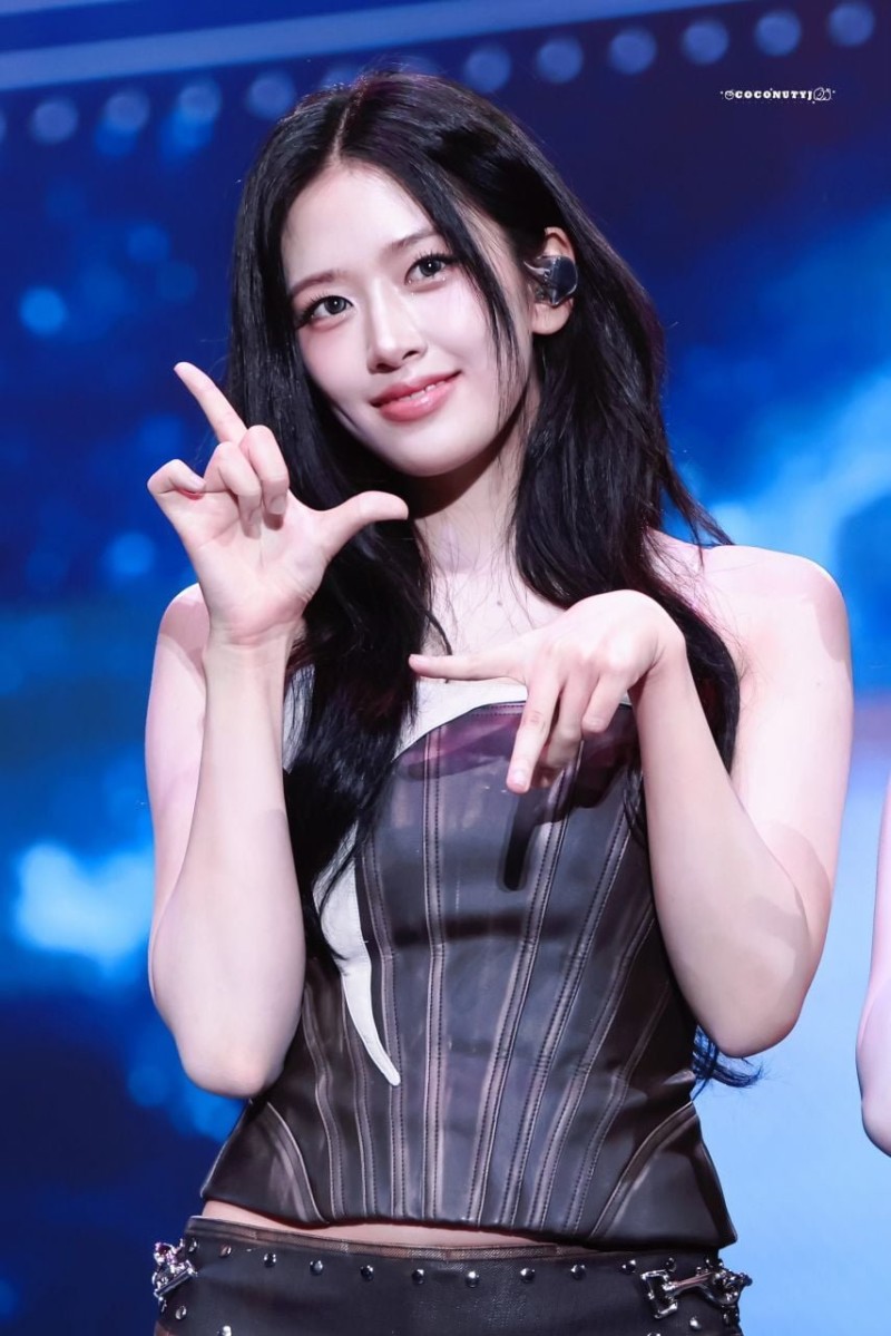 달팽이게임픽분석