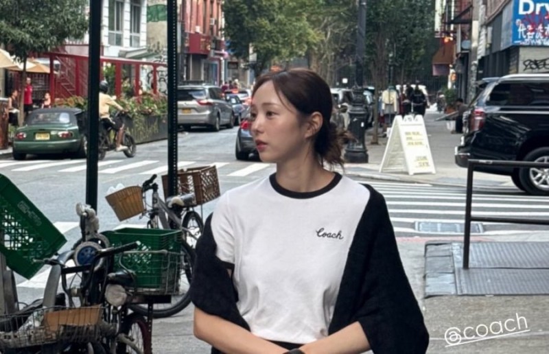 다리다리 분석과 실시간패턴통계