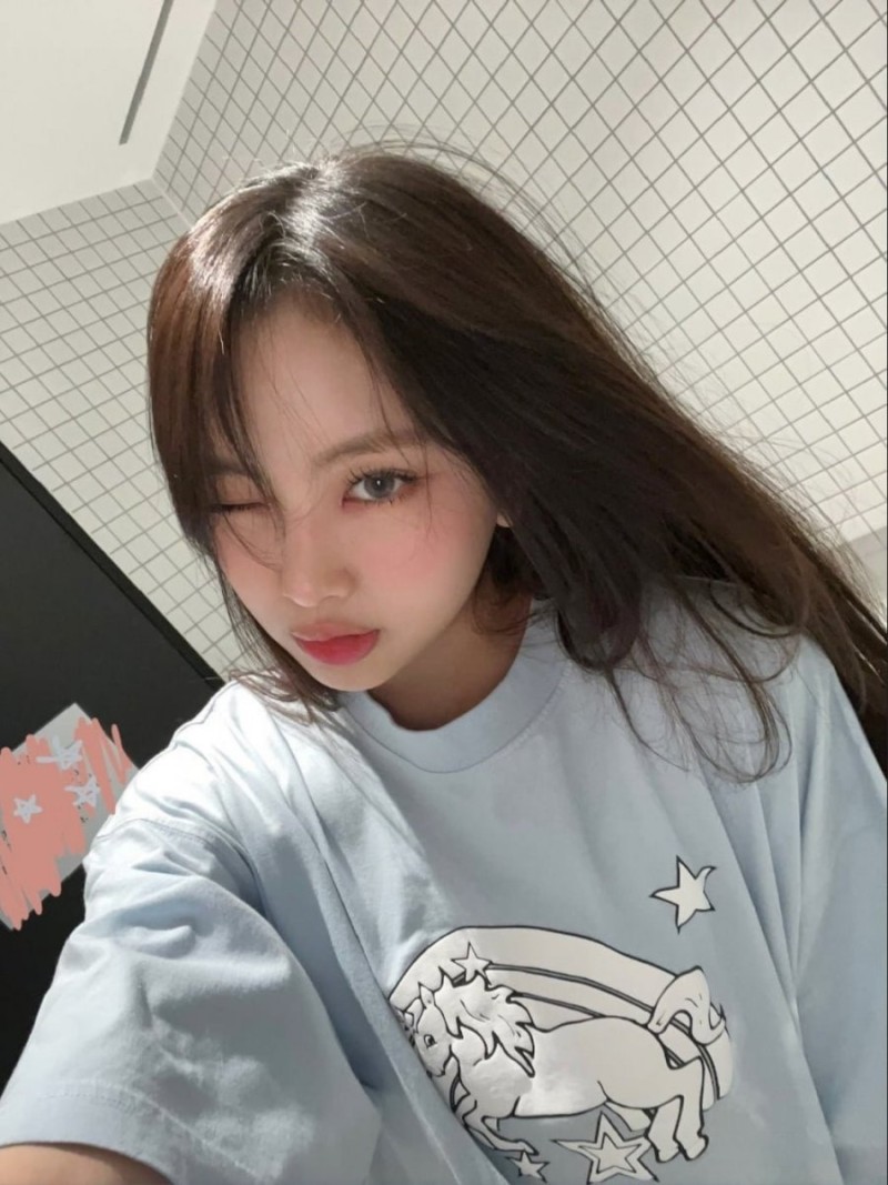 나눔로또 파워볼분석기
