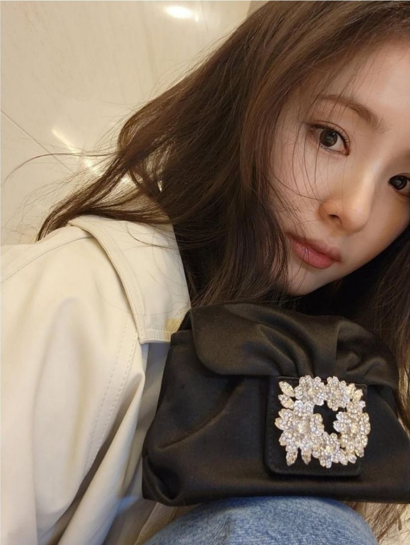 다리다리 분석과 실시간패턴통계