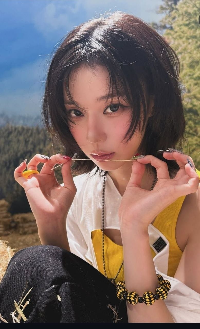 다리다리게임통계