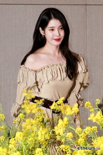 달팽이게임분석