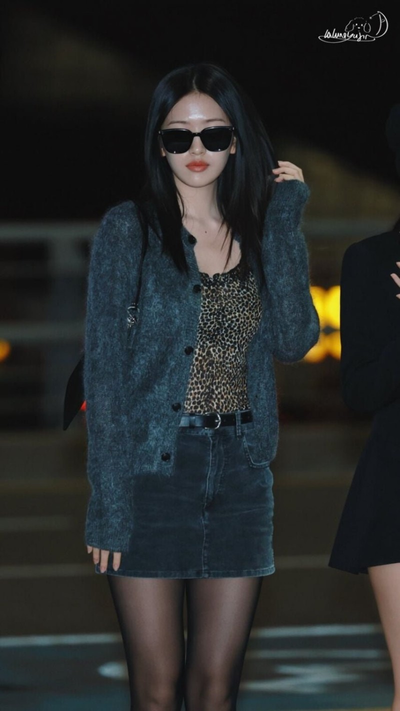 나눔로또 파워볼분석기