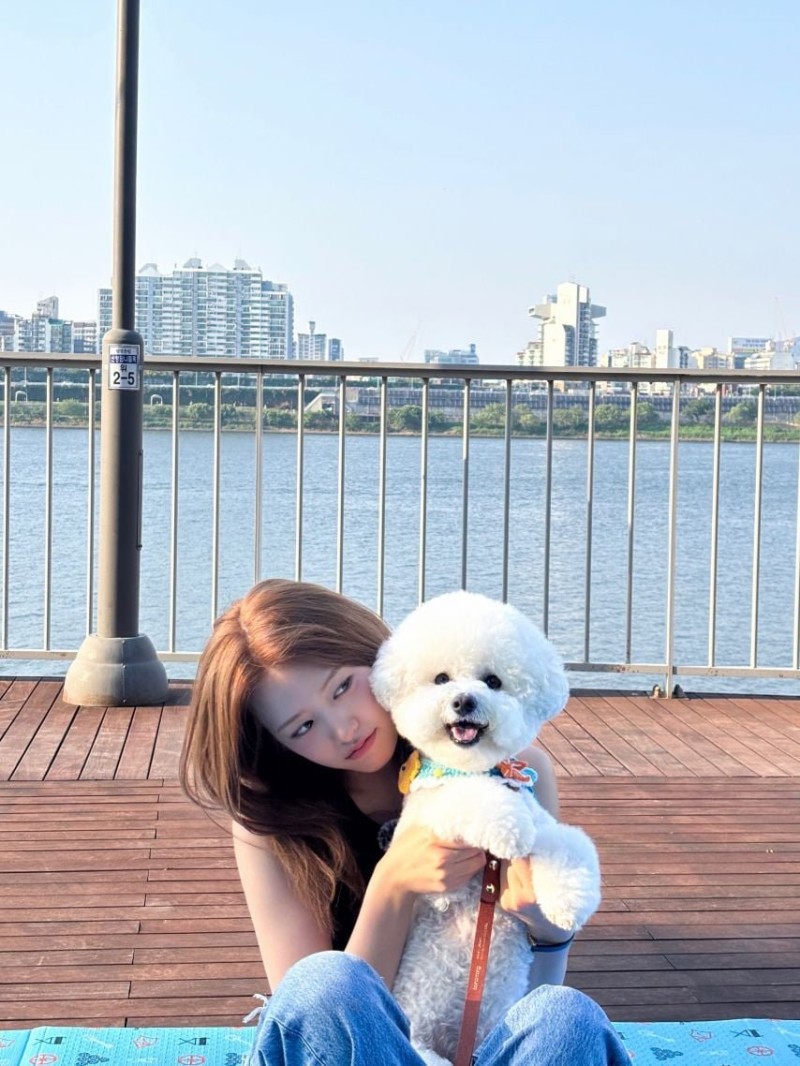 파워볼