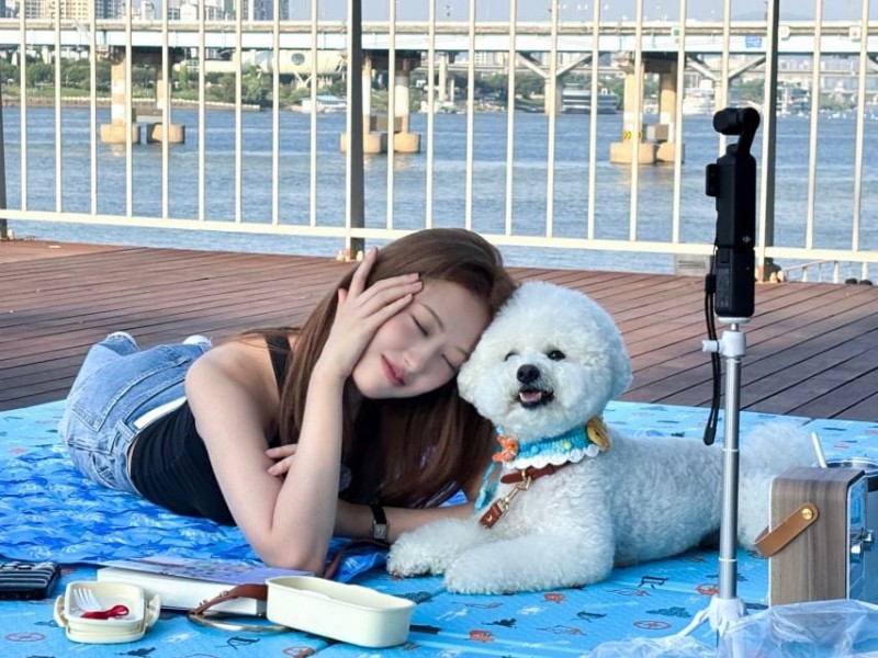 달팽이 분석과 실시간패턴통계