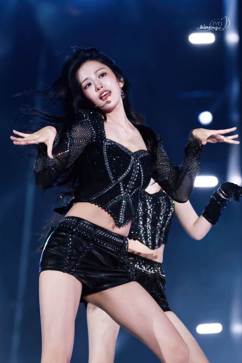 사다리 분석과 실시간패턴통계