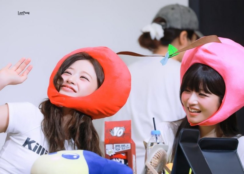 파워볼게임픽분석