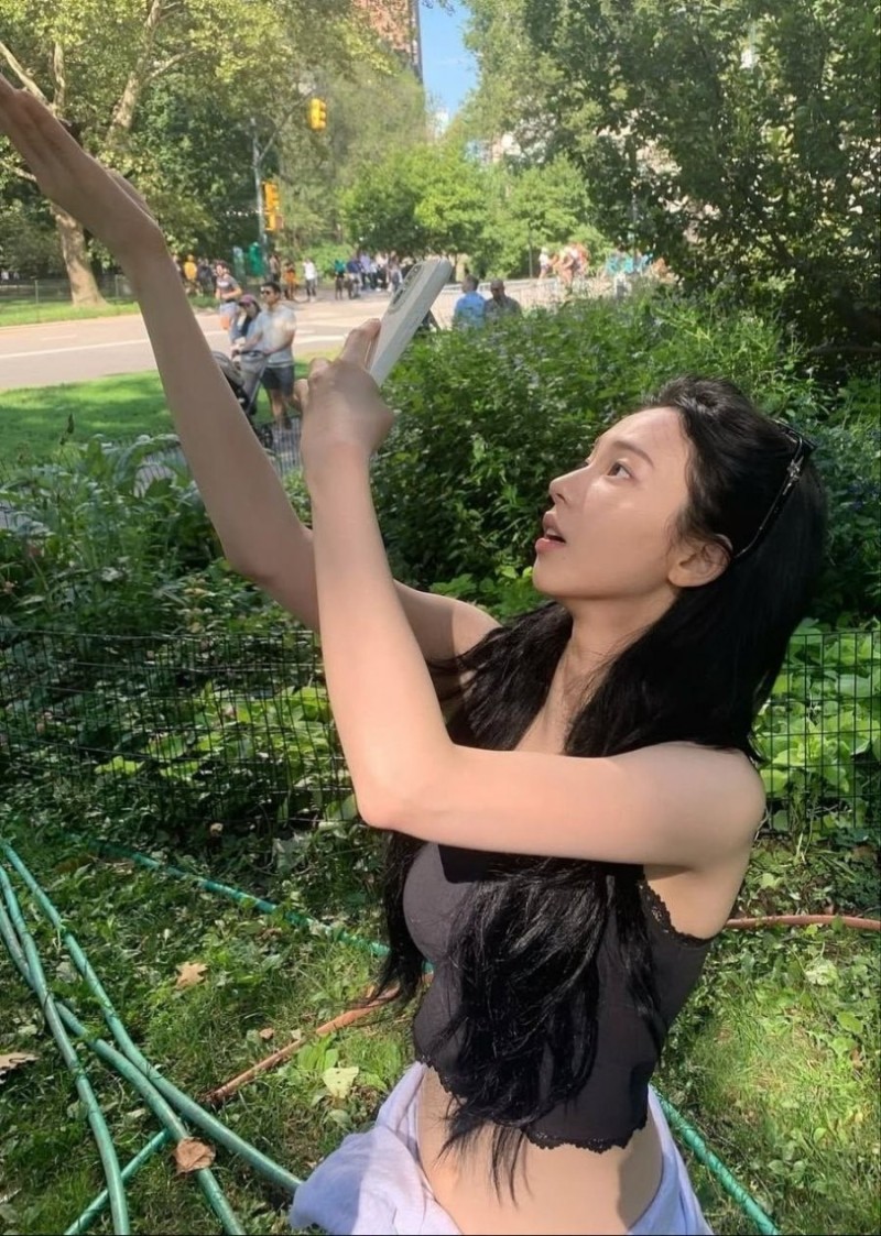 다리다리게임픽게임