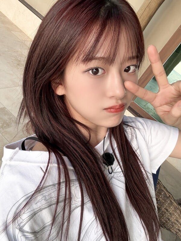 다리다리게임픽분석