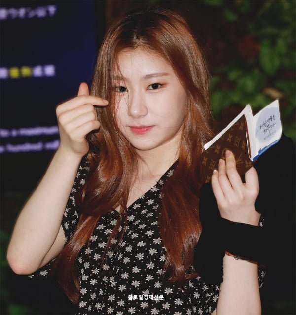 파워볼 분석과 실시간패턴통계