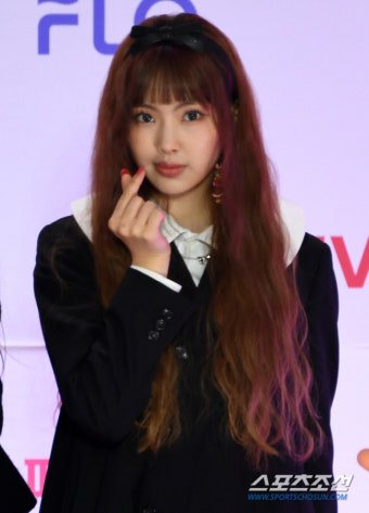 달팽이게임분석