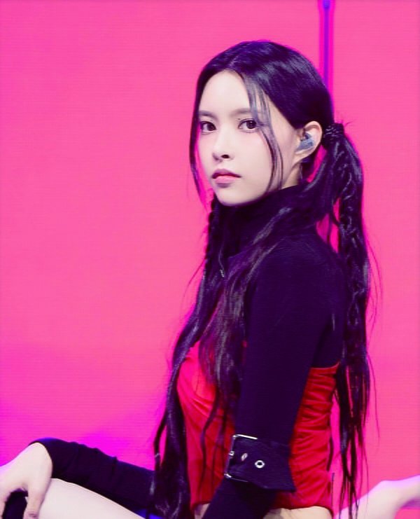 파워볼 분석과 실시간패턴통계