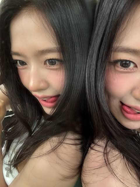 파워볼 분석과 실시간패턴통계