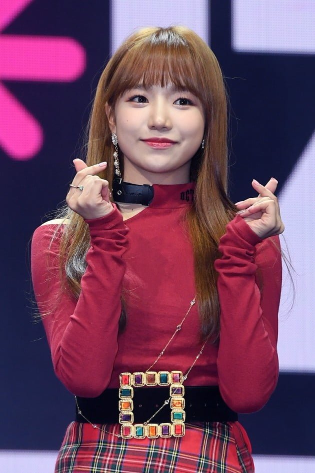 나눔로또 파워볼분석기