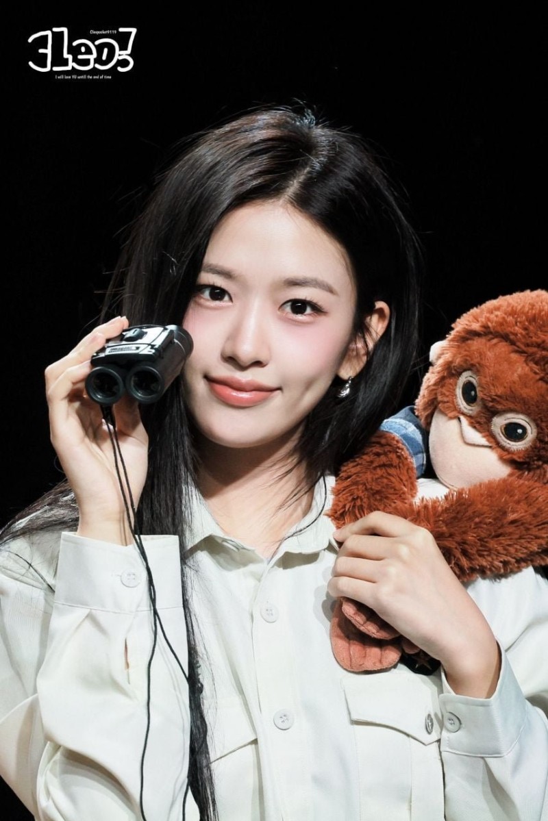 다리다리게임분석기