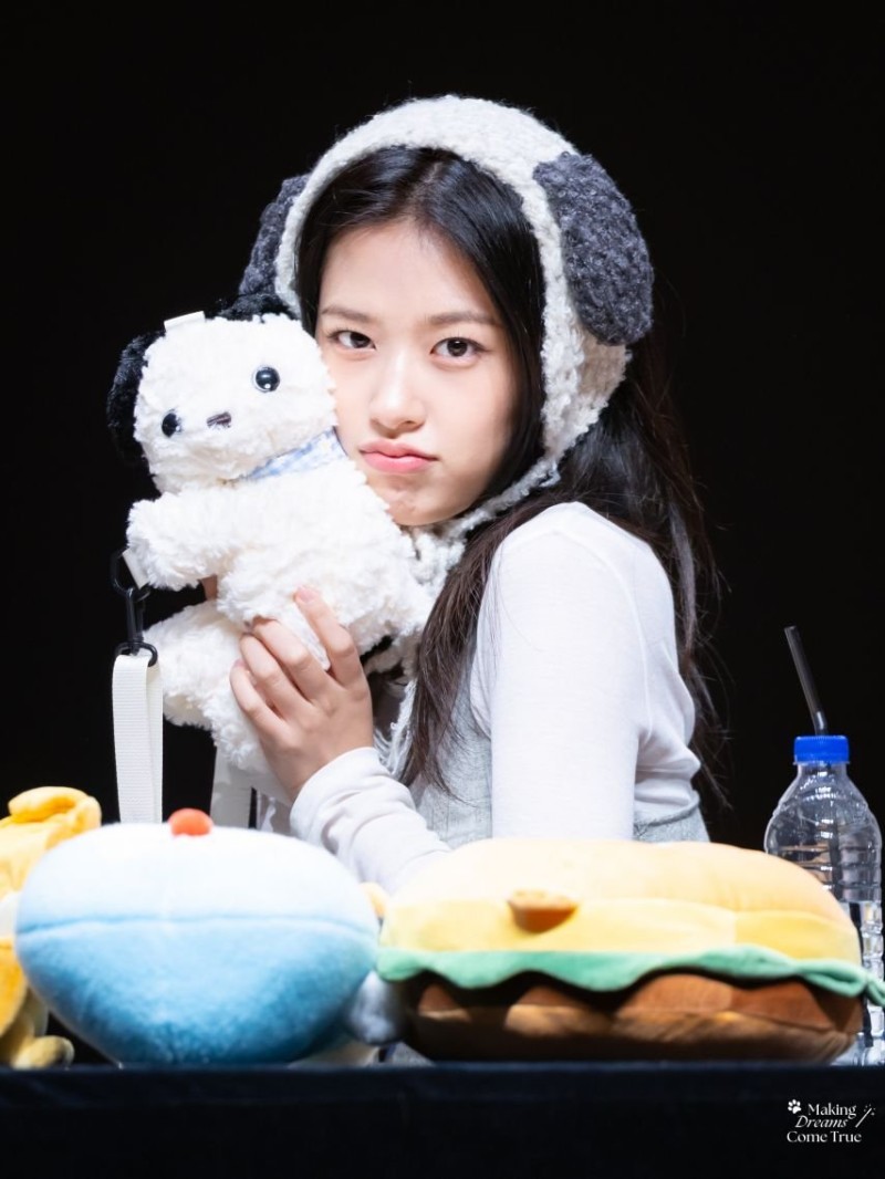 다리다리 분석과 실시간패턴통계