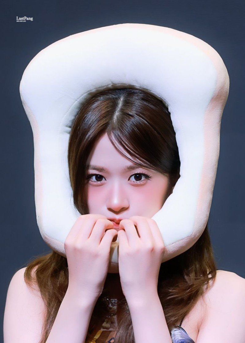 달팽이게임분석기