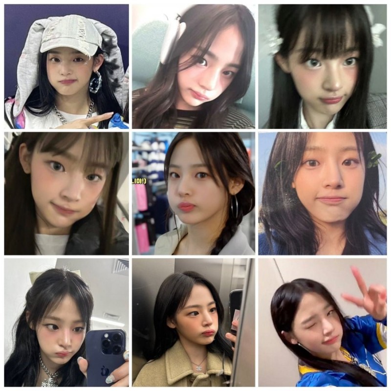 다리다리게임통계