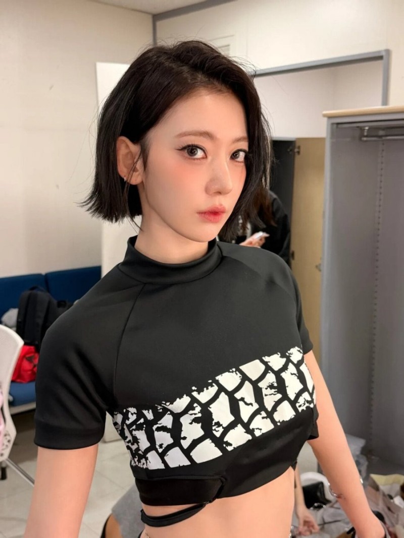 파워볼게임분석기