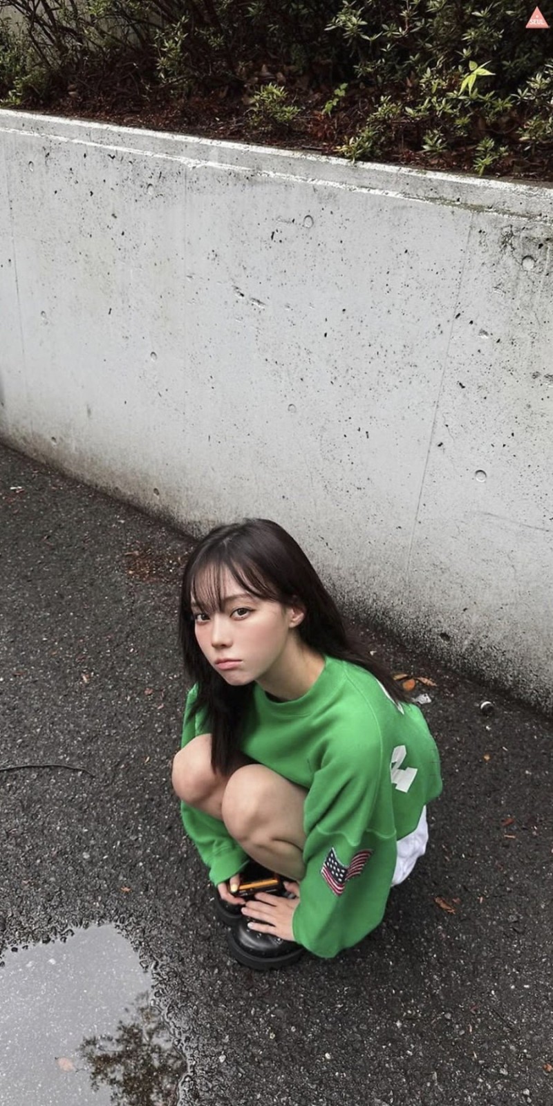 달팽이게임통계