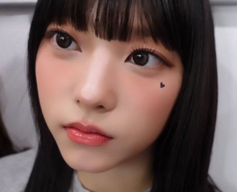 실시간다리다리