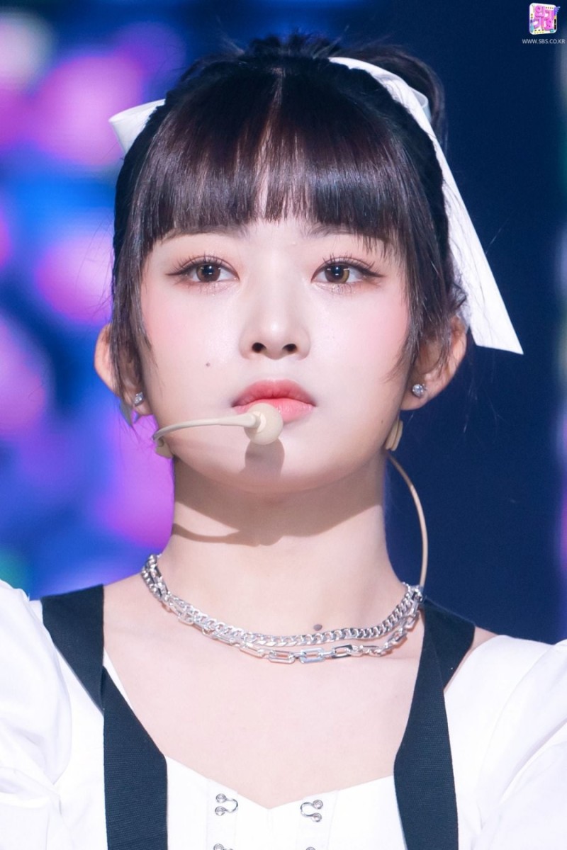 사다리게임픽게임