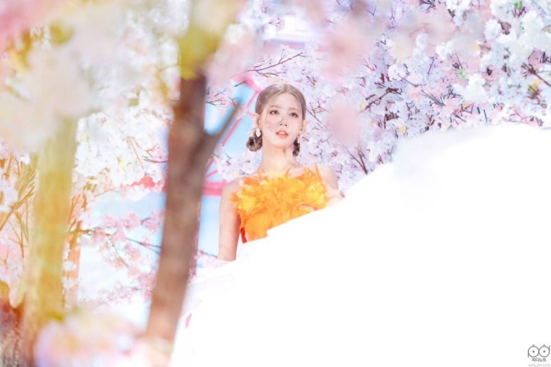 다리다리게임통계