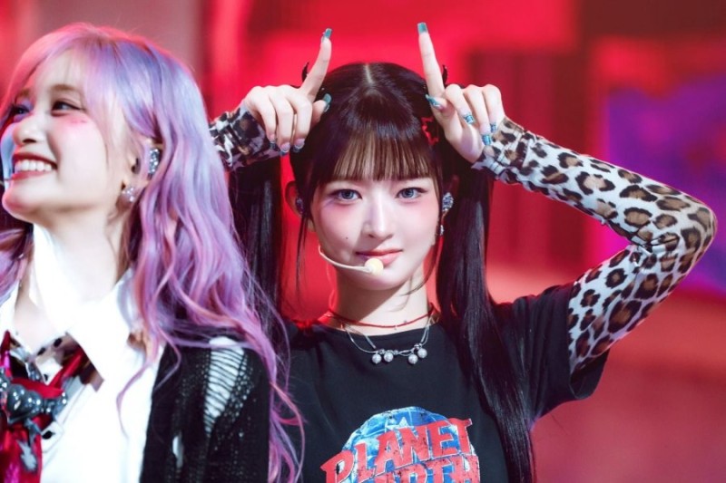 나눔로또 파워볼분석기