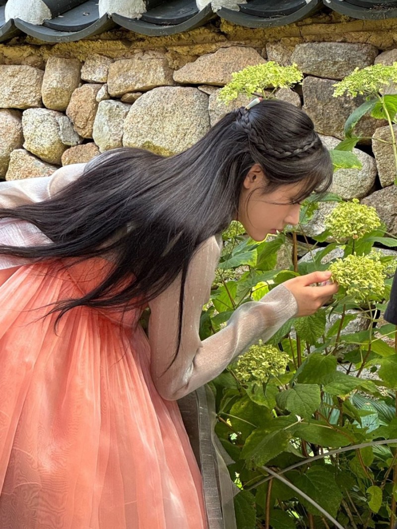 사다리게임픽게임