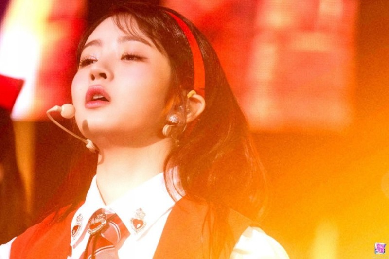 다리다리게임분석기