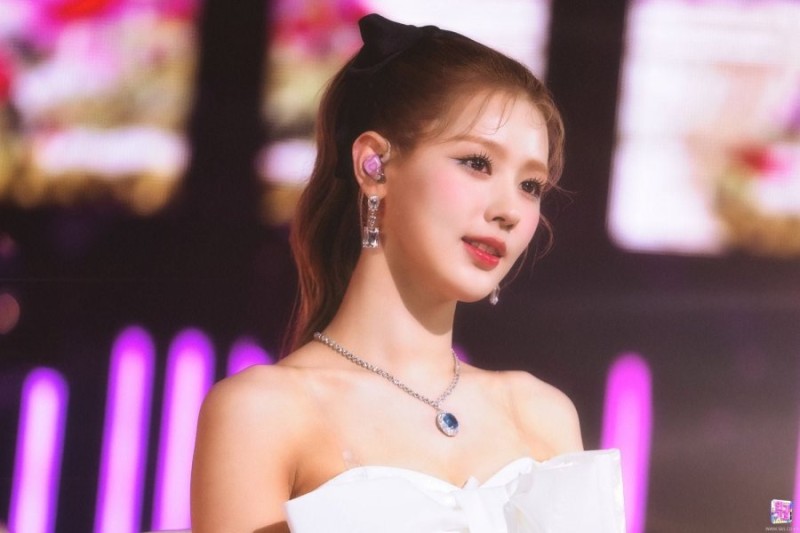 달팽이게임픽분석