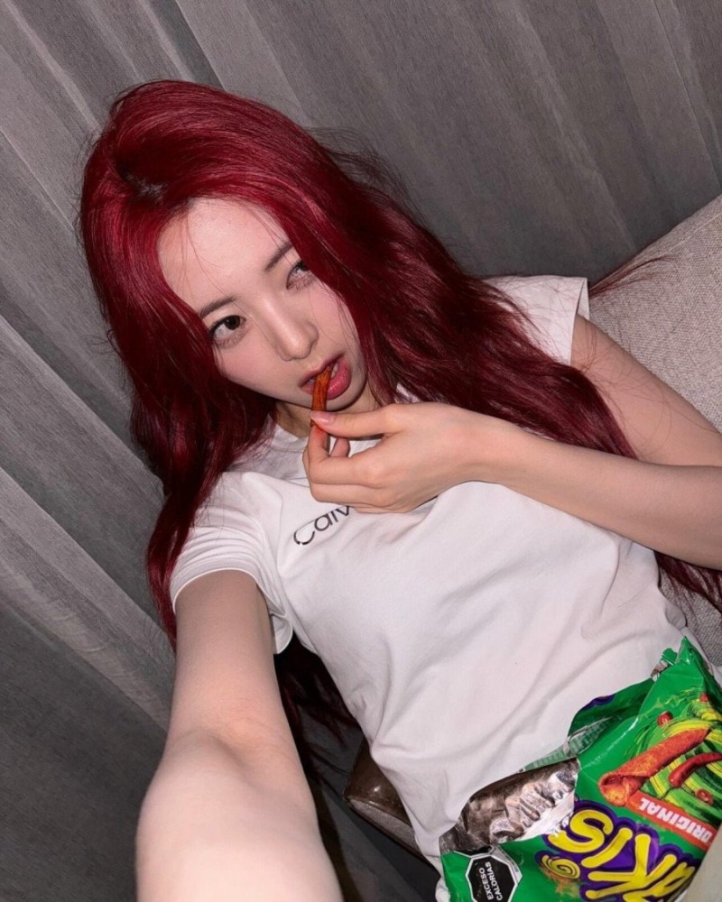 달팽이게임분석기