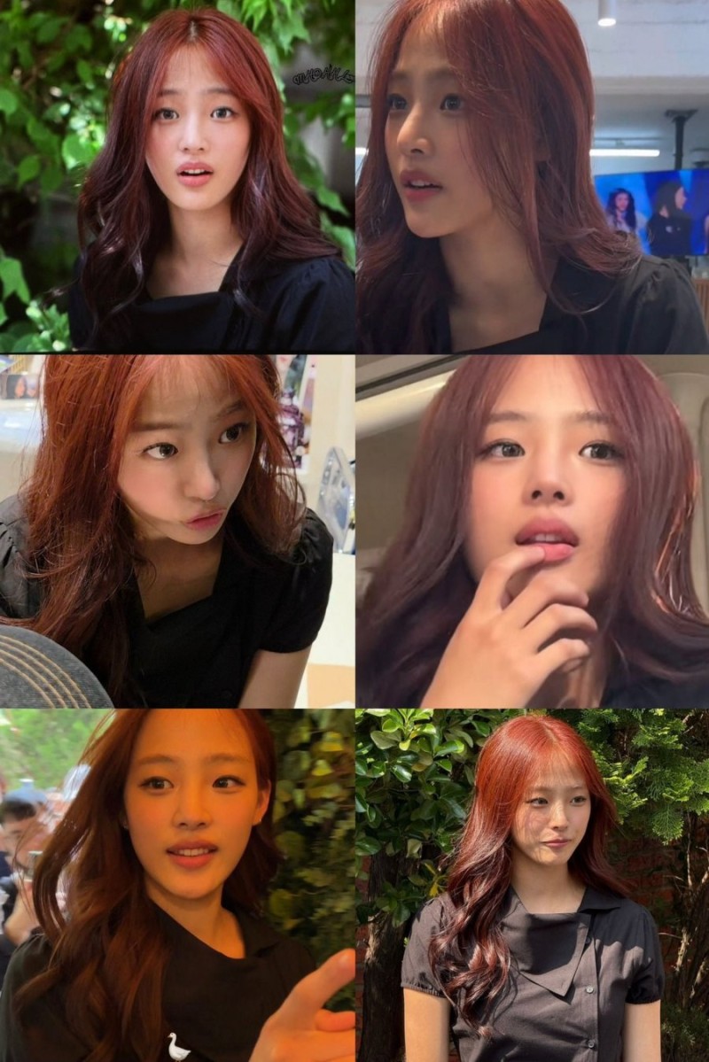 다리다리게임분석기