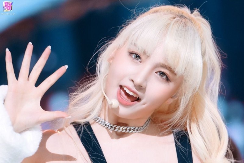 사다리 분석과 실시간패턴통계