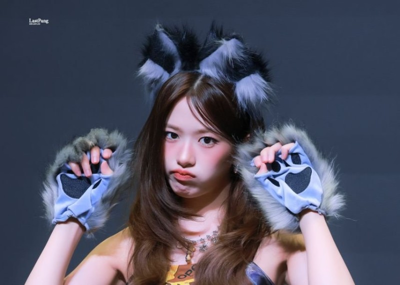 달팽이게임통계