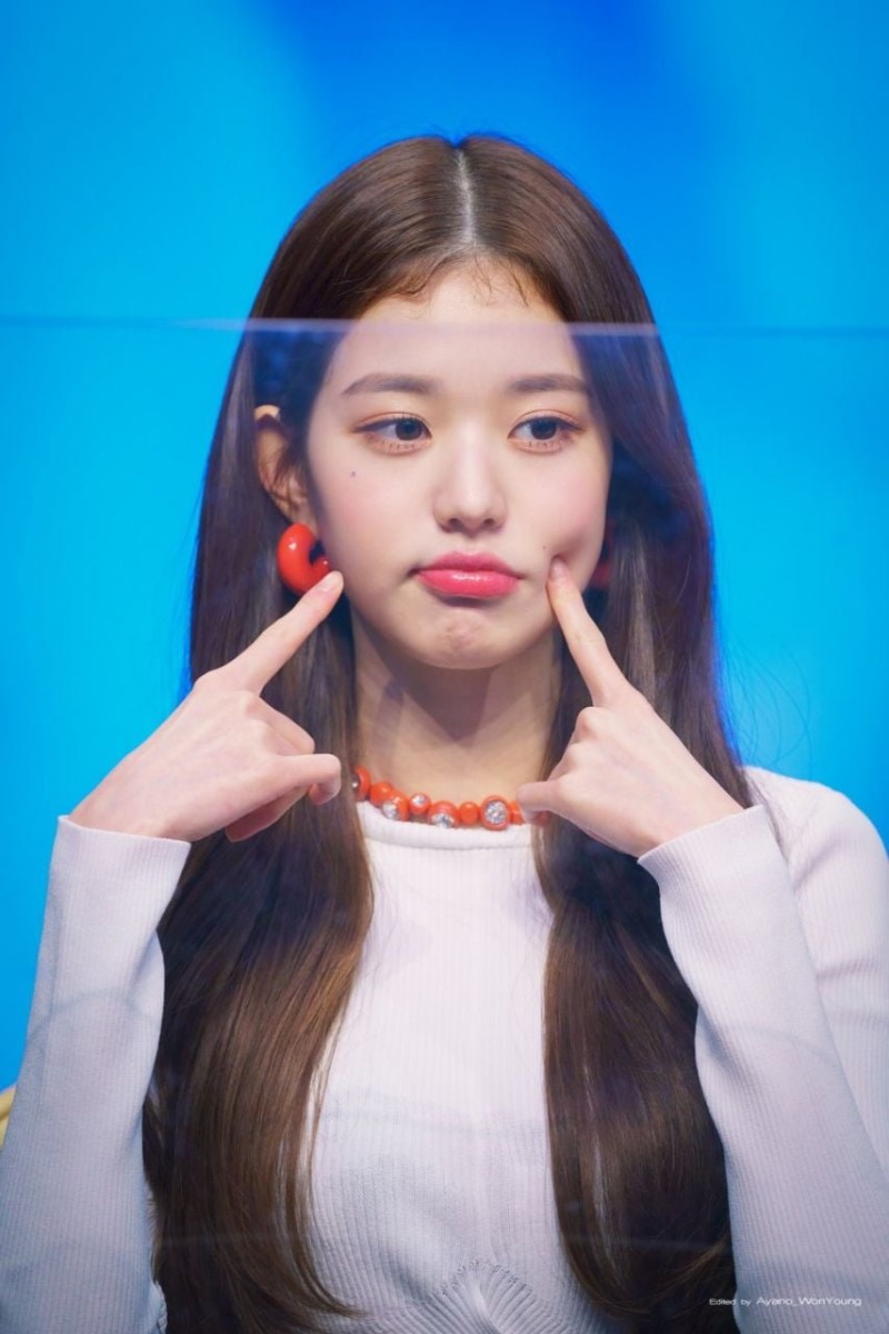 실시간다리다리