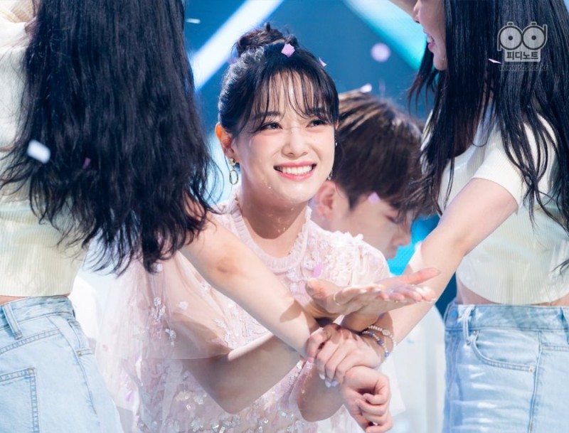 다리다리 분석과 실시간패턴통계