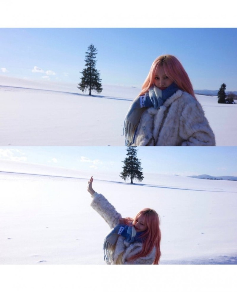 나눔로또 파워볼분석기