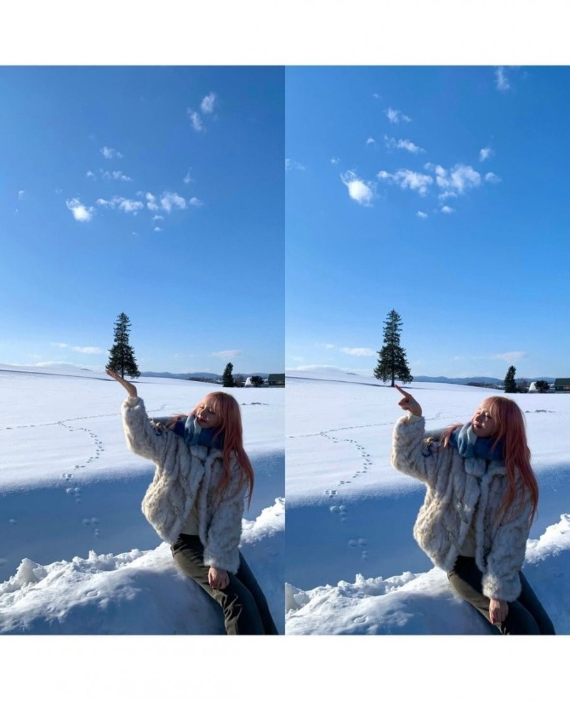 달팽이게임분석기