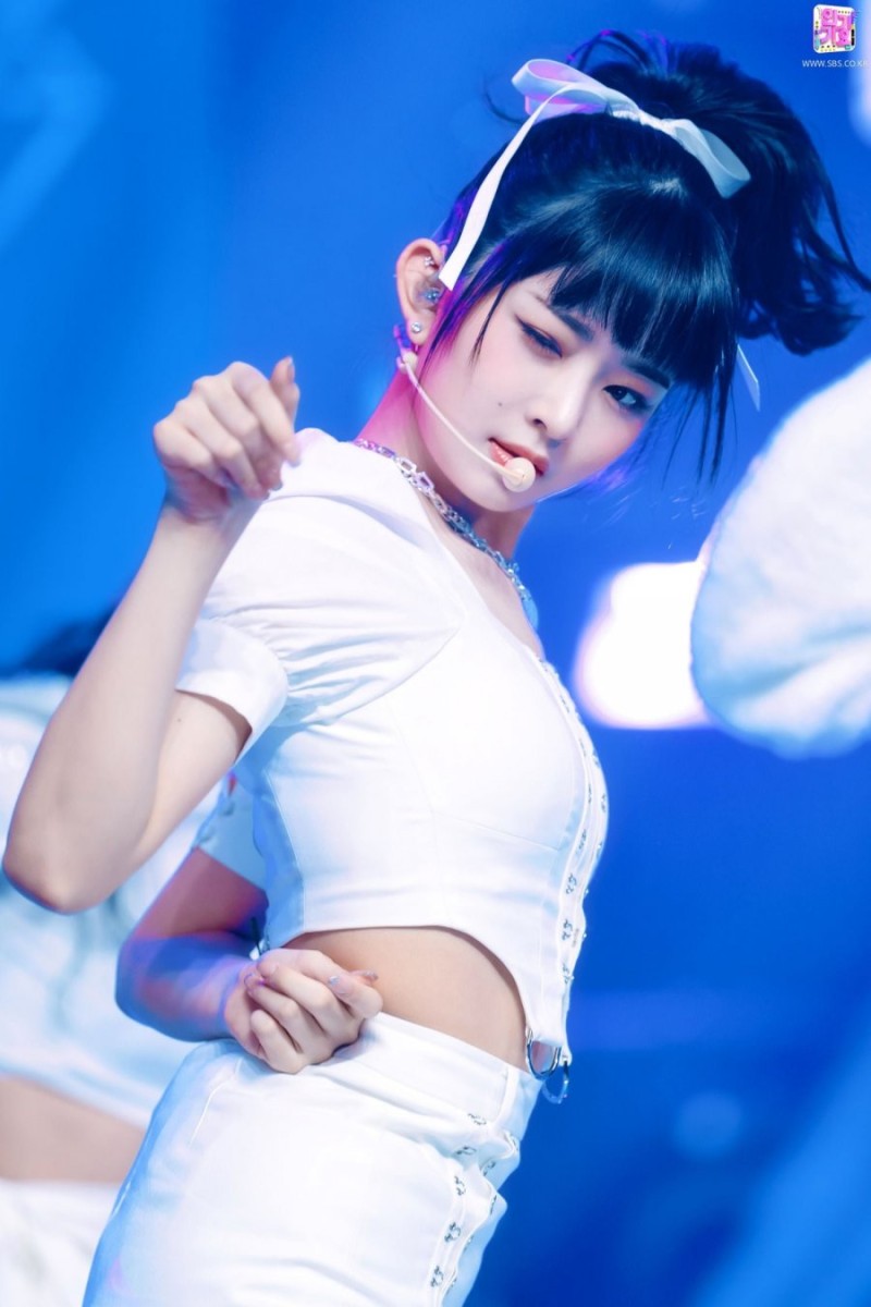 다리다리게임통계